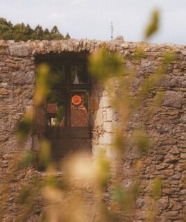 SAMEDI, QUELLE JOURNÉE 💛

Pour cette 5e édition de Basse Culture, vous avez fait vibrer ce lieu magique !

Des sets qui s’enchaînent, des sourires, des moments partagés et une ambiance qui aura marqué cette deuxième journée.
Quelques images de ce samedi, à garder précieusement.

ONE LOVE 

📸 @timcrd_