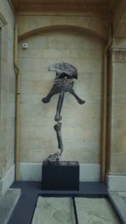 BAR BESTIAL // 05.02.26

En attendant que l’hiver passe, voilà que le Bar Bestial revient le 5 février 2026 au Muséum d’histoire naturel de Neuchâtel. 

Anciennement une production de Dissolution Agency, Grand Tourisme reprends les rennes et vous propose cette année une collaboration des plus liés avec l’exposition temporaire : KSSSS KSSSS KSSSS - Bestiaire Utopique (@museumneuch)

La suite des informations viendra très bientôt ✨

Réserve déjà ton jeudi pour l’afterwork le plus spéciale de ton hiver.

📹: @ilanvideo